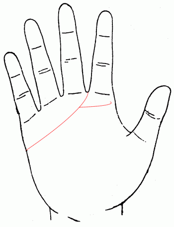 感情<em>线末端分叉</em>,手相算命